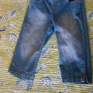 Gloria Vanderbilt Light Blue Women's Jeggings